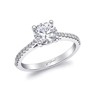 Engagement 15