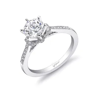 Engagement 16