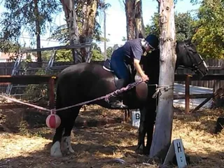 A Stable Named Desire