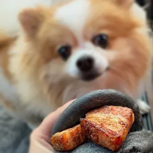 D12: Charcoal Pork Belly Bao | 2 pc - $7