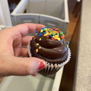 a hand holding a cupcake with chocolate frosting and sprinkles