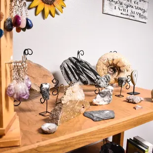 Rocks and Fossils for sale in the Sticks Stones and Bonez gift shop.