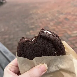 Strawberry chocolate cookie sandwich