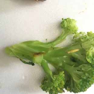 soups and chowder, soup, food, chowder