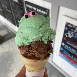 Pistachio and chocolate fudge brownie