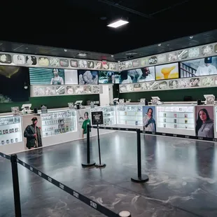FERNDALE STIIIZY STIIIZY CANNABIS  DISPENSARY
