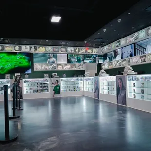 FERNDALE STIIIZY STIIIZY CANNABIS  DISPENSARY