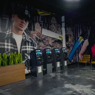 FERNDALE STIIIZY STIIIZY CANNABIS  DISPENSARY