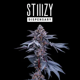 STIIIZY WEED DISPENSARY IN FRESNO