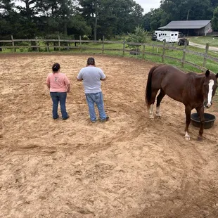 Learn from the ground up