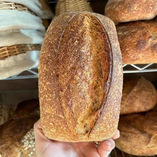 Fresh Baked Bread