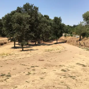 Road down to the river