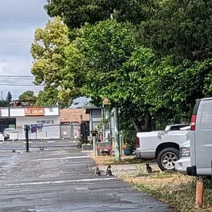 Not very welcoming, but a good representation of area. At least it&apos;s fenced.  Fire and police nearby based on the constant sirens.