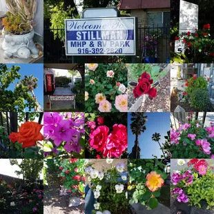 Stillman RV and Mobile Home Park