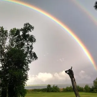 Rainbow C.