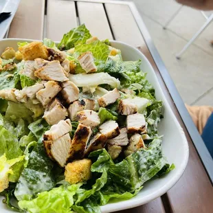 Caesar Salad - Large with blackened chicken