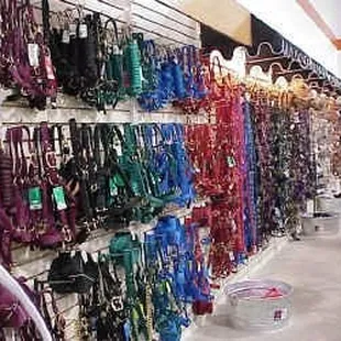 Horse Tack