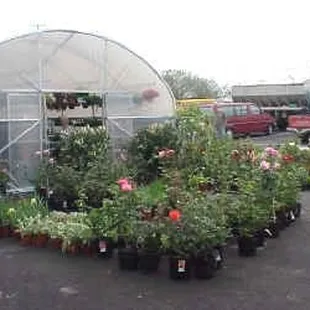 Greenhouse