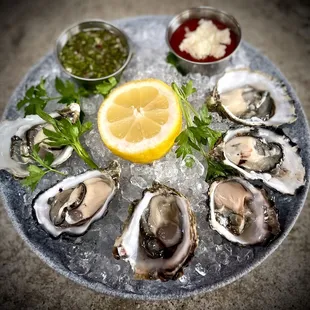 oysters, oysters and mussels, food, mussels, shellfish