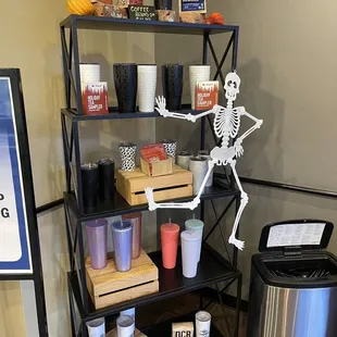 a skeleton on a shelf