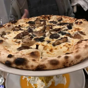 Fungi Pizza