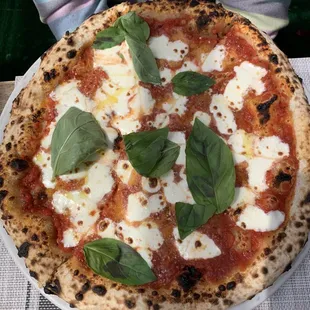 Margherita Pizza