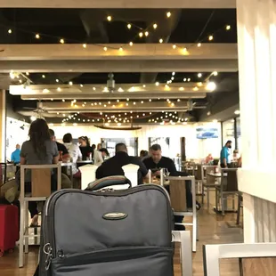 My suitcase enjoyed his view...LOL!