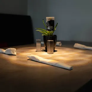 a table setting with napkins and a plant