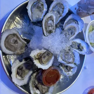 Oysters