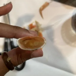 a hand holding a clamber