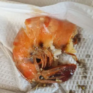 a close up of a shrimp