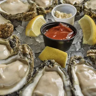 $1 Oysters all day long!