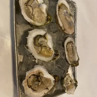 6 Oyster Happy Hour