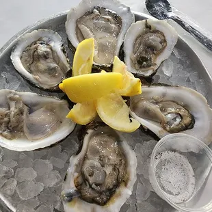 a plate of oysters