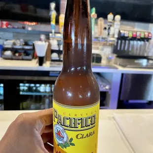 Pacifico. Dinner 9/17/2023