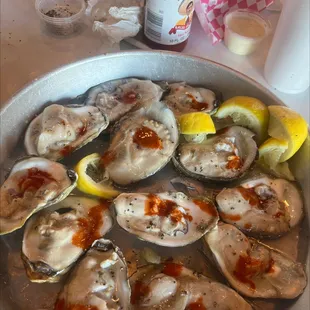 Doesn&apos;t oysters