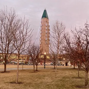 Stinson Park early January at dusk