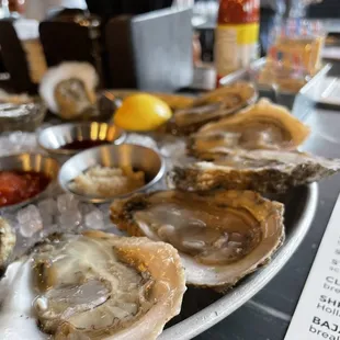 House Oysters
