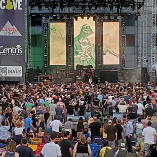 a large crowd of people at a concert