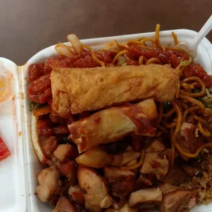 Mandarin and Spicy chicken, superb!