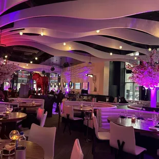 The Ambiance is amazing !!!!