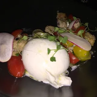 Burrata