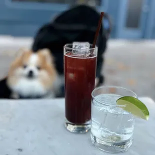Transverse Cooler w/ cherry juice, ginger, club soda, non-alcoholic ($11) + Fortaleza Blanco, double ($30)
