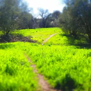Trails to explore...