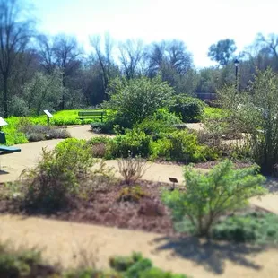 Several benches in the butterfly garden area