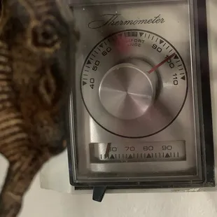 Inside temperature, Stockdale Aire said there was nothing wrong with my cooler.