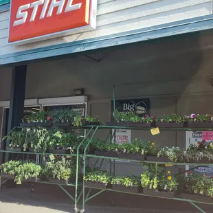 Plants for sale out front!