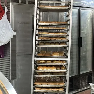 a baker carrying trays of bread
