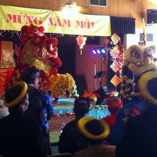 Vietnamese New Years 2015: Lion Dance: Opening Ceremony