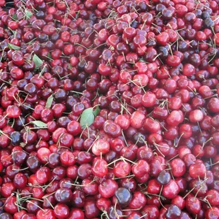  large pile of cherries